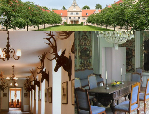 Smart Home im Museum Jagdschloss Kranichstein: Kopp Blue Control setzt historische Sammlung gekonnt in Szene